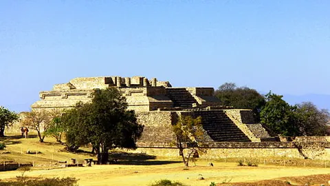 “迈阿密赛事安排公布：郑钦文瞄准八强战，萨巴伦卡对垒柯林斯争霸”