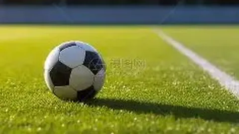 “网球赛场感人瞬间：德约跪地夺冠，薛晨强势回归，黄博凯首次闯入决赛，哪些画面让你难以忘怀？”